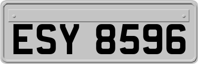 ESY8596
