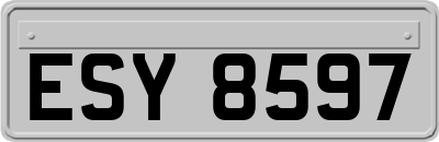 ESY8597