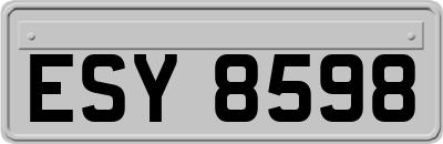 ESY8598