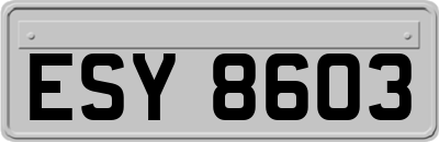 ESY8603