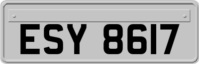 ESY8617