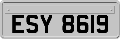 ESY8619