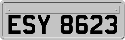 ESY8623