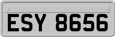 ESY8656