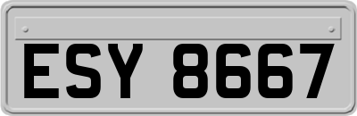 ESY8667