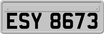 ESY8673
