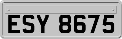 ESY8675
