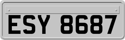ESY8687