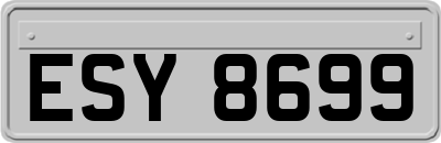 ESY8699