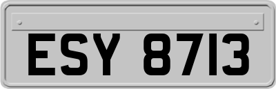ESY8713