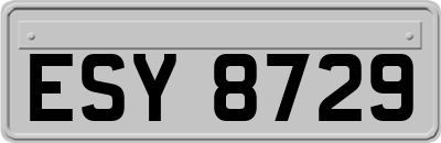ESY8729