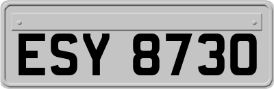 ESY8730
