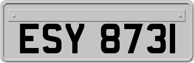 ESY8731