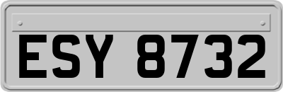 ESY8732