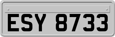 ESY8733