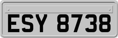 ESY8738