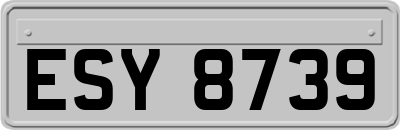 ESY8739