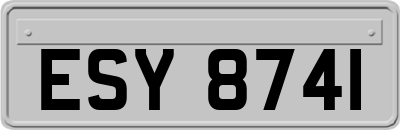 ESY8741