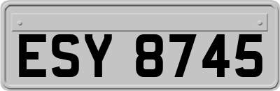 ESY8745