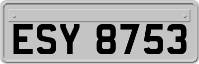ESY8753