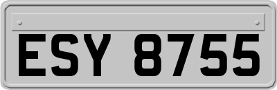 ESY8755