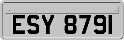 ESY8791