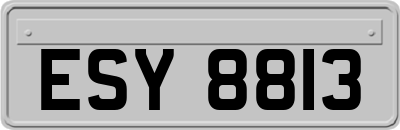 ESY8813