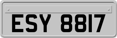 ESY8817