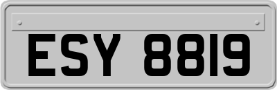 ESY8819