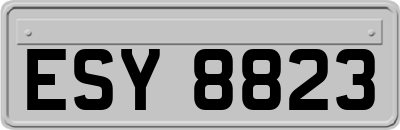 ESY8823