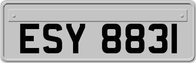 ESY8831