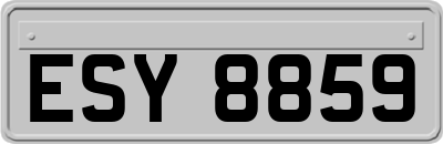 ESY8859
