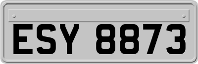 ESY8873