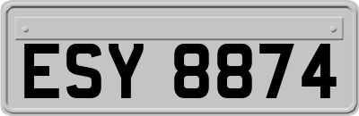 ESY8874