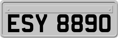 ESY8890