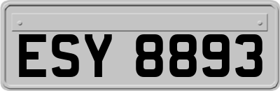 ESY8893