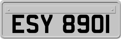 ESY8901