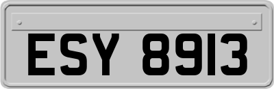 ESY8913