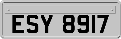 ESY8917