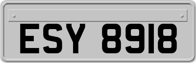 ESY8918