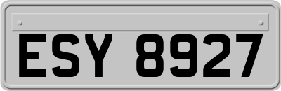 ESY8927