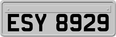 ESY8929