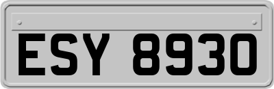 ESY8930