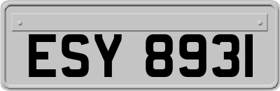 ESY8931
