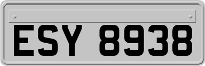 ESY8938
