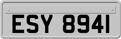 ESY8941