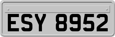 ESY8952