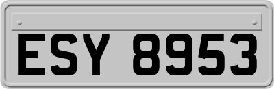 ESY8953