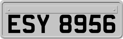 ESY8956