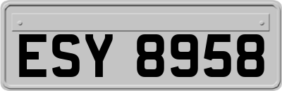 ESY8958